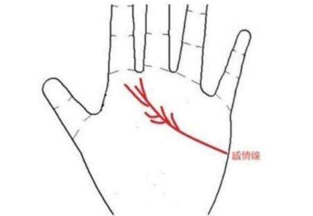 感情线末端分叉像树枝_感情线末端分叉是什么意思,第23张 感情线末端分叉像树枝_感情线末端分叉是什么意思,第23张